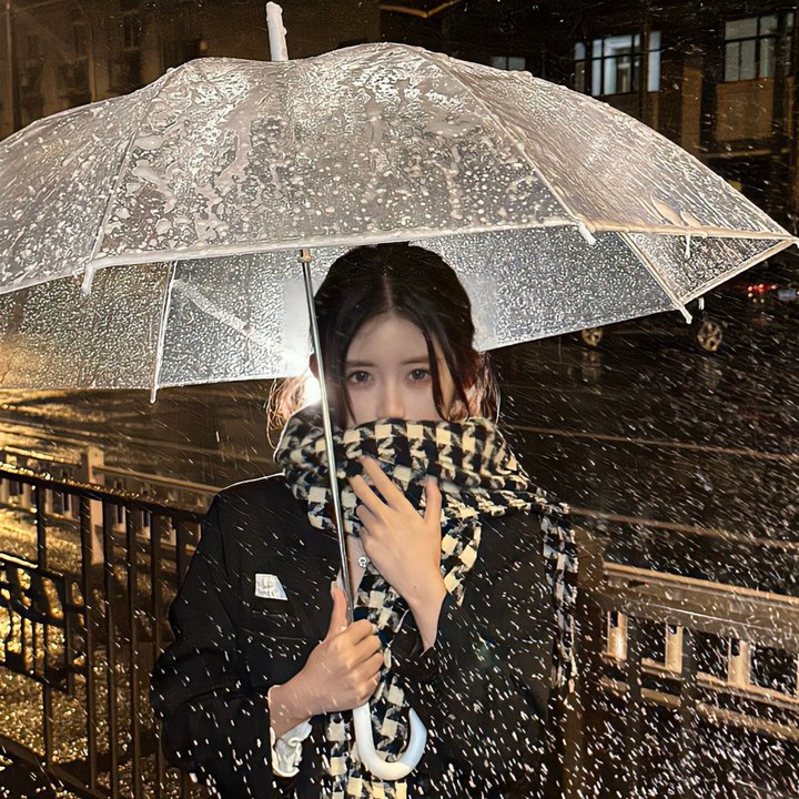 红楼春怨
