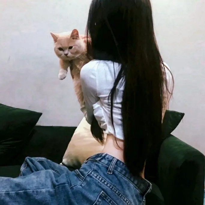 猛虎嗅蔷薇